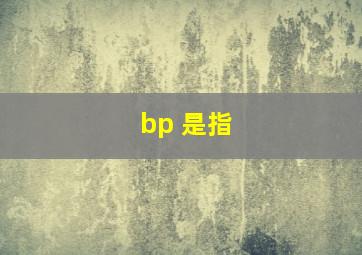 bp 是指